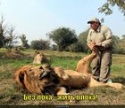 https://lolkot.ru/2011/03/19/zhit-ploha/
