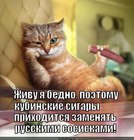 https://lolkot.ru/2012/08/08/zhivu-ya-bedno/