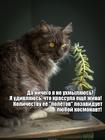 https://lolkot.ru/2025/04/28/zhivuchaya-letushka/