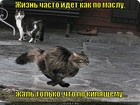 https://lolkot.ru/2012/04/25/zhizn-kak-po-maslu/
