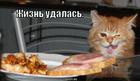 https://lolkot.ru/2010/09/30/zhizn-udalas-2/