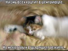 https://lolkot.ru/2010/09/23/zhizn-vseh-krutit/