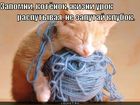 https://lolkot.ru/2011/03/05/zhizni-urok/