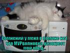 https://lolkot.ru/2013/09/06/zhmi-na-knopki-davay/