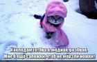 https://lolkot.ru/2015/10/19/zimnyaya-ekipirovka/