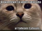 https://lolkot.ru/2012/08/10/zlaya-hozyayka/