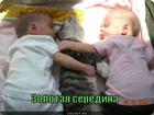 https://lolkot.ru/2012/03/20/zolotaya-seredina/