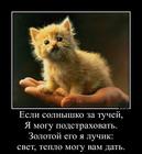 https://lolkot.ru/2016/03/13/zolotoy-luchik/