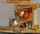 https://lolkot.ru/2013/01/02/zolotoy/