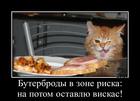 https://lolkot.ru/2015/12/20/zona-riska-2/