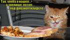https://lolkot.ru/2011/03/07/zrelische-pod-divanom/