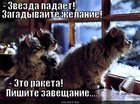 https://lolkot.ru/2011/03/26/zvezda-padayet/