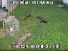 https://lolkot.ru/2010/08/16/zvukovyye-kotominy/