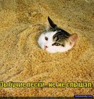 https://lolkot.ru/2011/11/23/zybuchiye-peski/