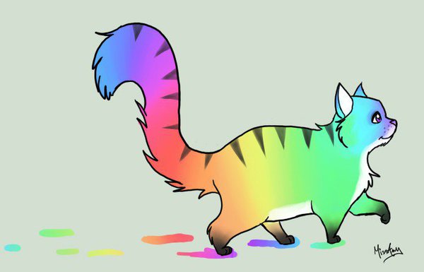 Фотография из альбома Rainbow kitten
