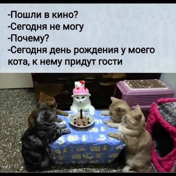 Фотография из альбома Николай
