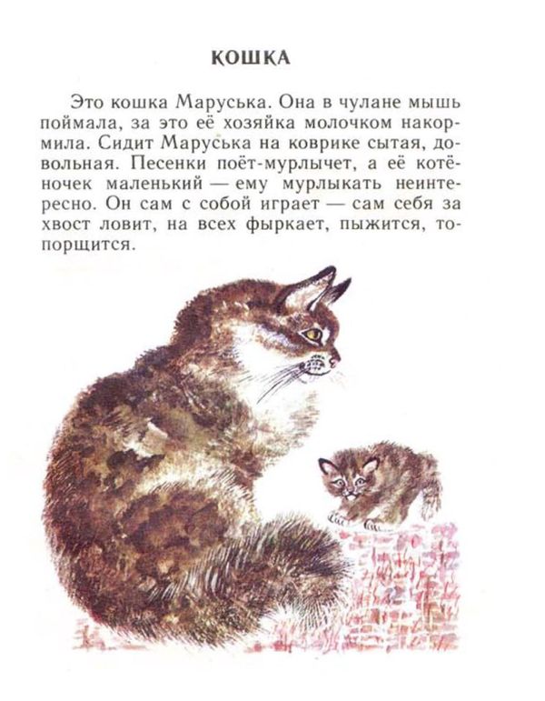 Фотография из альбома Николай