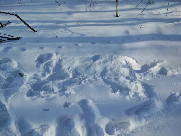 Фотография из альбома Николай