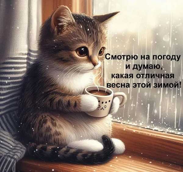 Фотография из альбома Николай