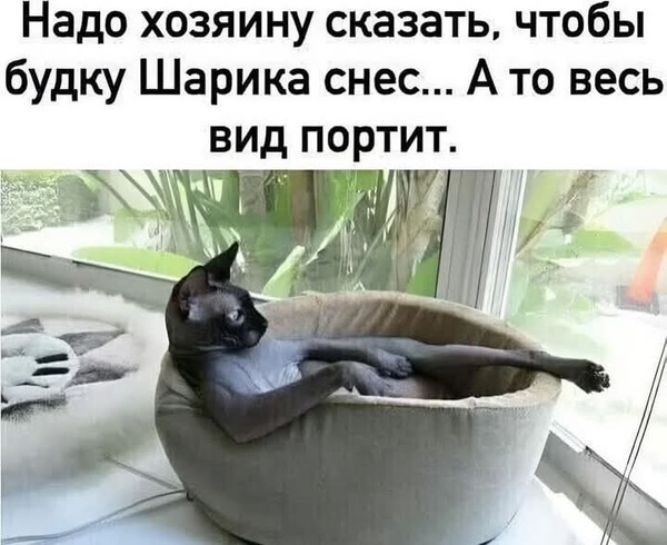 Фотография из альбома Николай