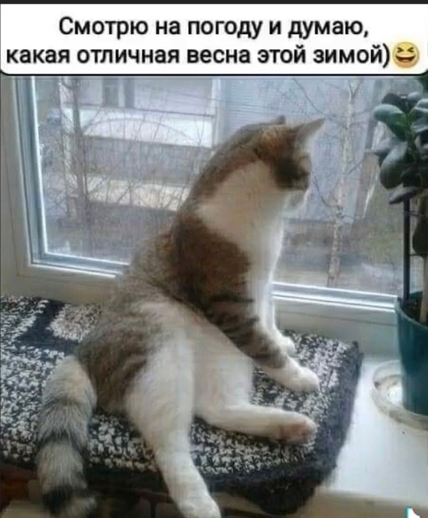 Фотография из альбома Николай