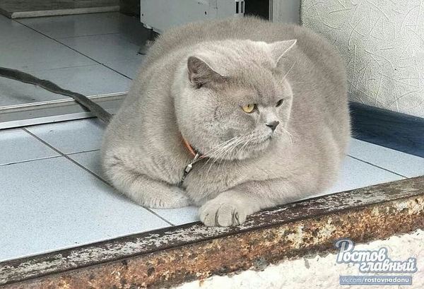Фотография из альбома Николай