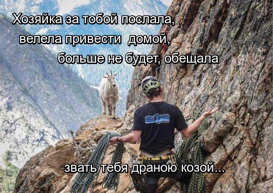 Фотография из альбома ММГ