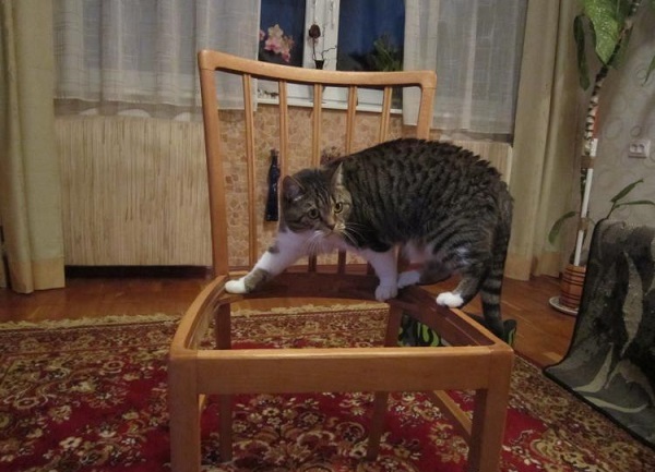Фотография из альбома ММГ
