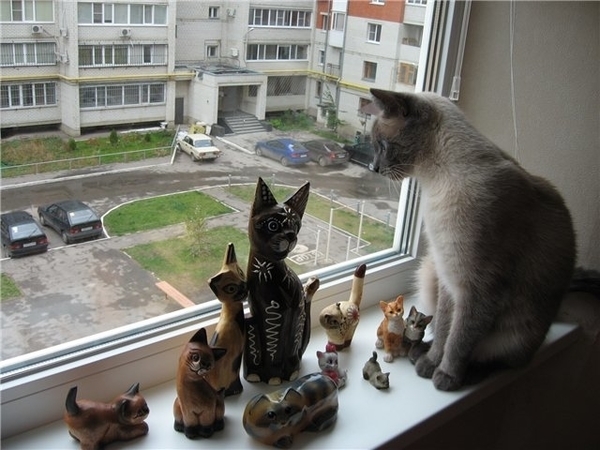 Фотография из альбома ММГ
