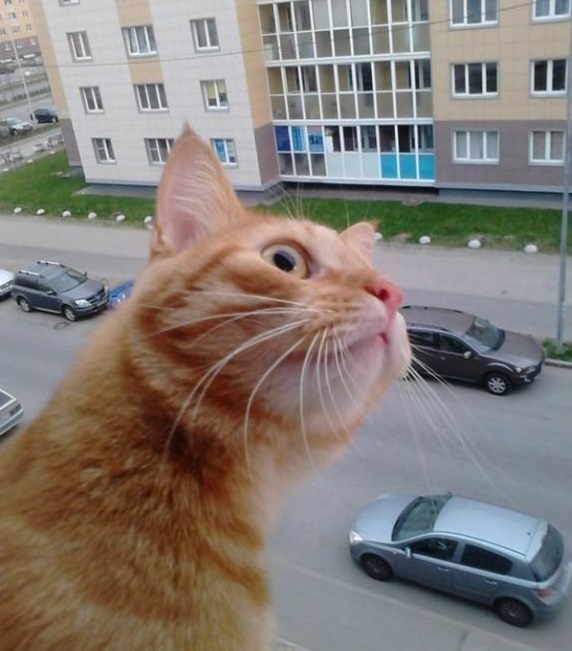 Фотография из альбома ММГ