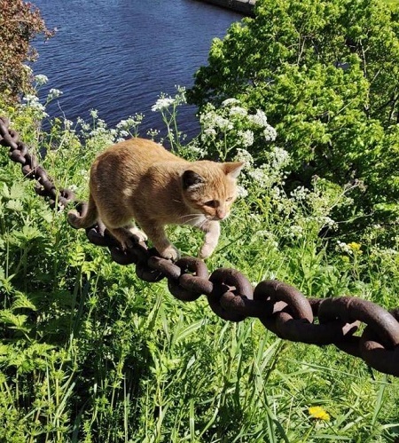 Фотография из альбома ММГ