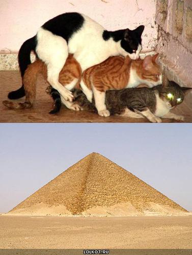 мечты о египте