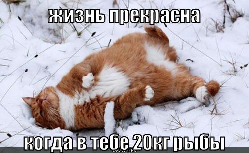 жизнь прекрасна