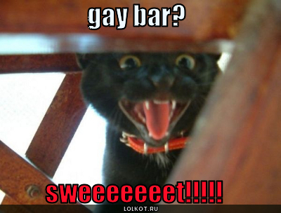 gay bar?