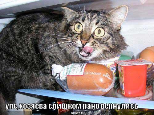 рано вернулись
