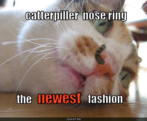 catterpiller nose ring