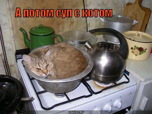 суп с котом 