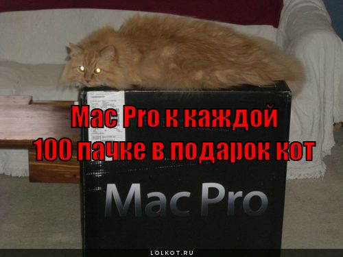 mac pro