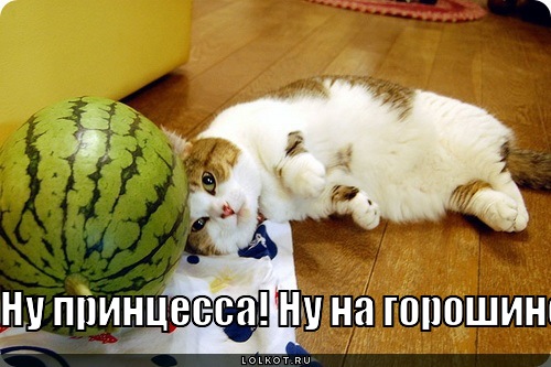 принцесса на горошине
