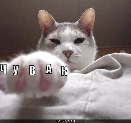 чувак
