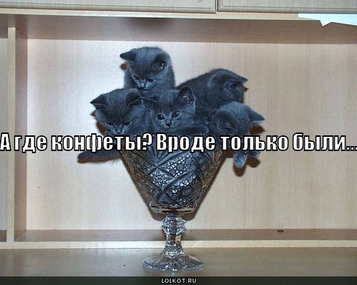 где конфеты?