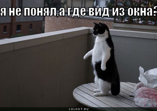 где вид из окна?