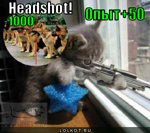 headshot!