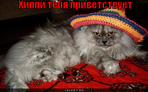 хиппи