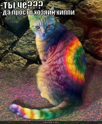 хозяин хиппи