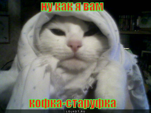 кофка-старуфка