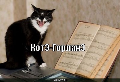 котэ-горланэ