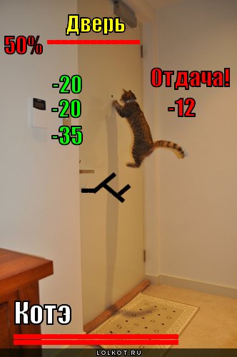 котэ и дверь
