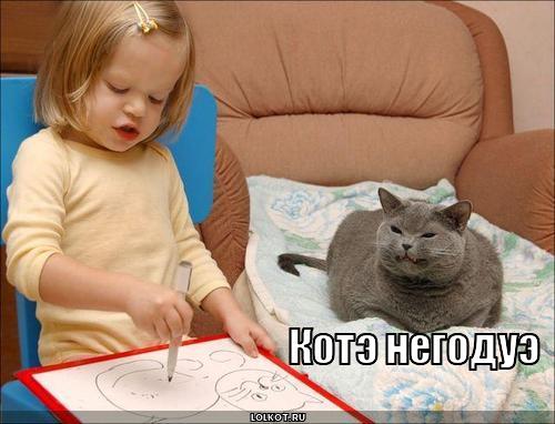 котэ негодуэ