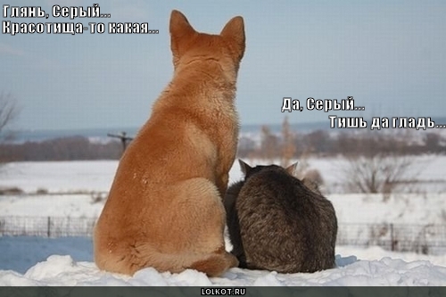 красотища